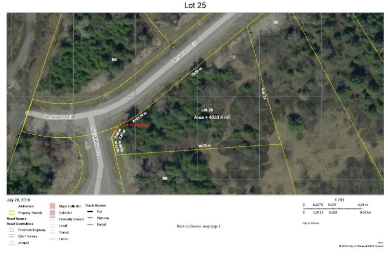 Lot 25